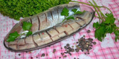 Jak nakládat sledě doma: 10 chutných receptů